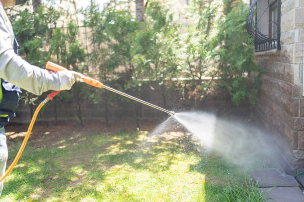 Best Bee and Wasp Removal  in Genoa, AR